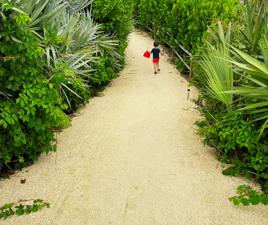 volusia county guide