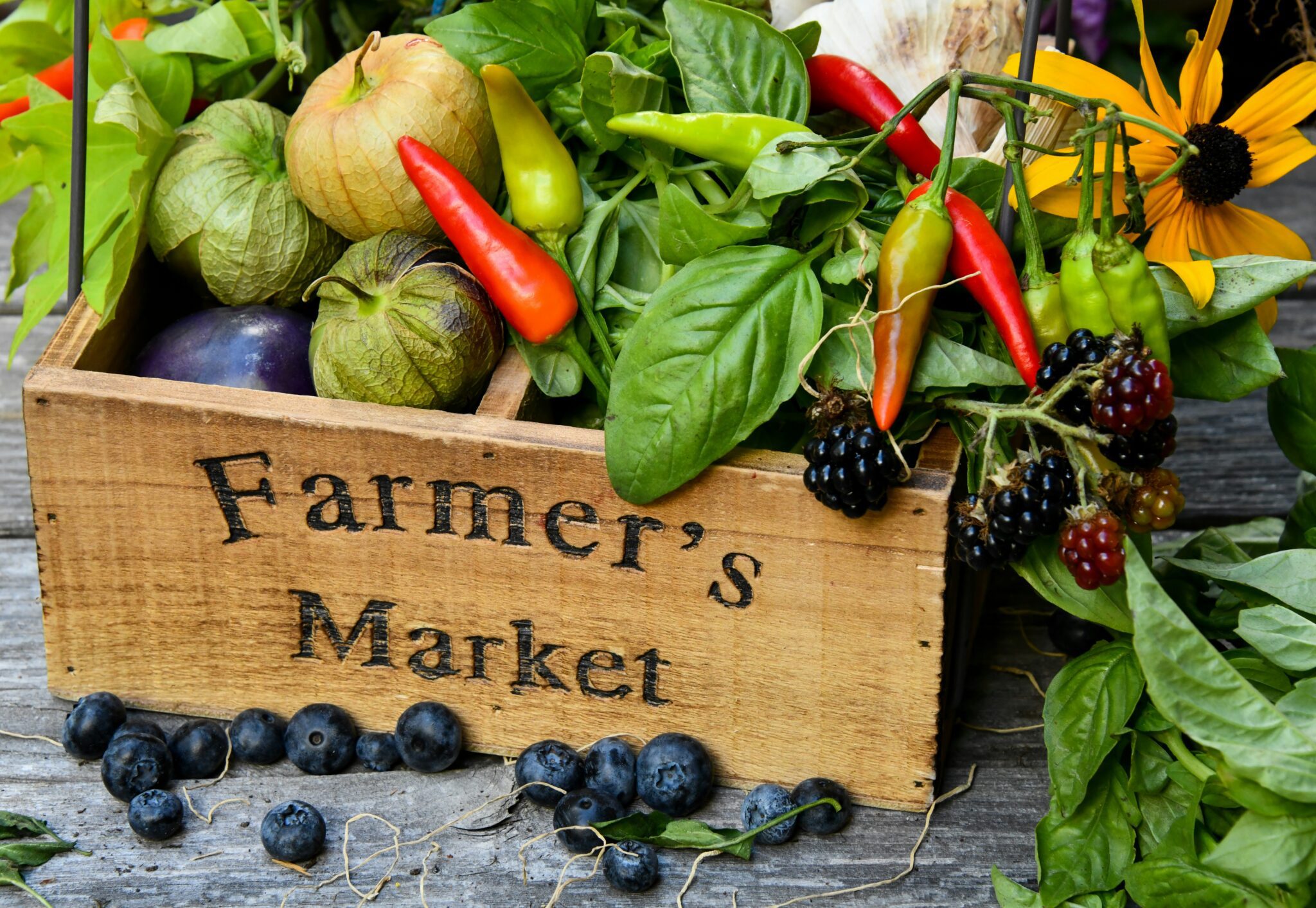 Volusia County Farmers Markets