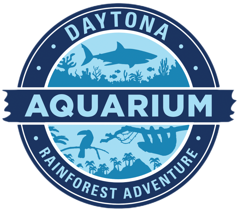 Daytona Aquarium