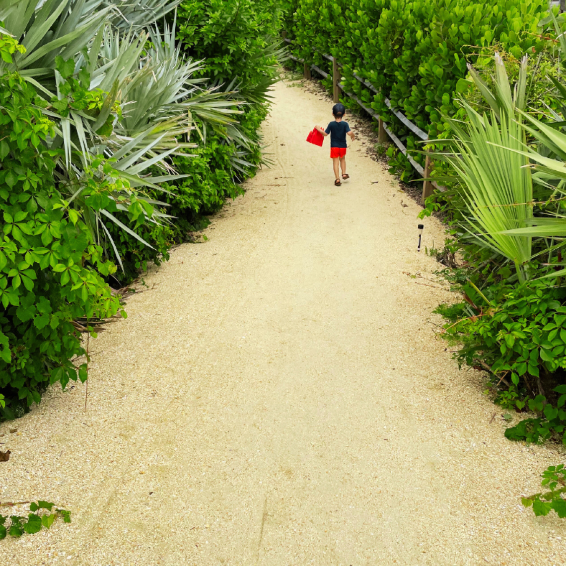 volusia county guide